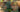 Testing Alt