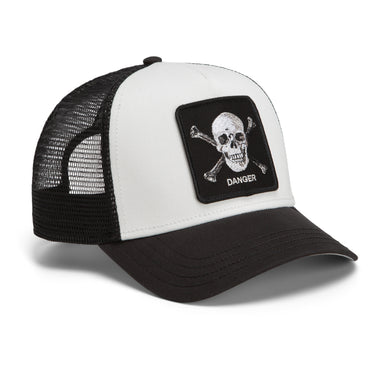 Danger Skull and Crossbones