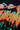 htc los angeles T-SHIRTS HTC VINTAGE GREEN DAY T-SHIRT MIX BLACK
