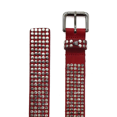 Hollywood Trading Company 5.000 COLOUR STUDS BELT BORDEAUX | Blue Express