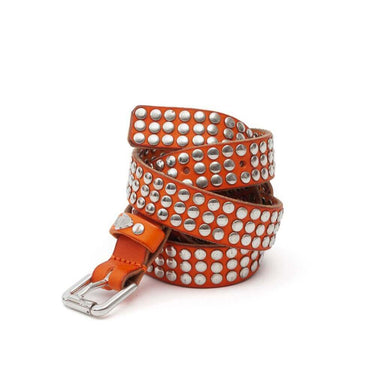 Hollywood Trading Company 3.000 STUDS COLOR BELT | Blue Express