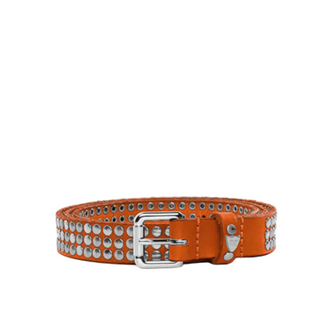Hollywood Trading Company 3.000 studs color belt orange | Blue Express