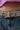 Hollywood Trading Company 5.000 STUDS COLOR BELT | Blue Express