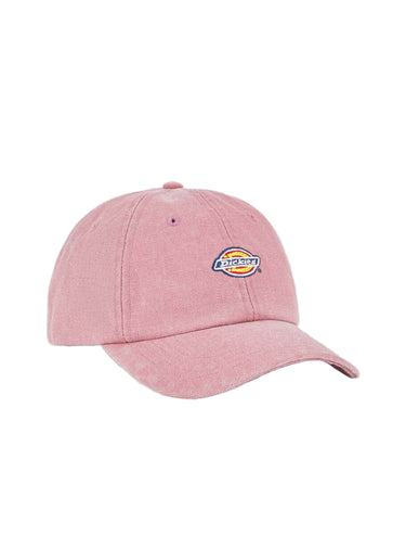 Dickies hardwick duck | Blue Express