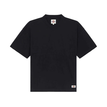 DICKIES Heavy Mineral T-shirt black | Blue Express