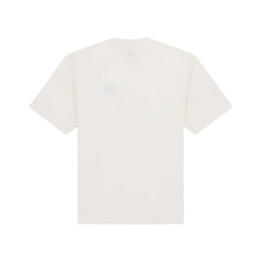 DICKIES Lightweight Flag T-shirt egret | Blue Express
