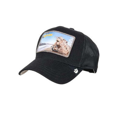 GOORIN BROS Baseball homestead Morning wood dar | Blue Express