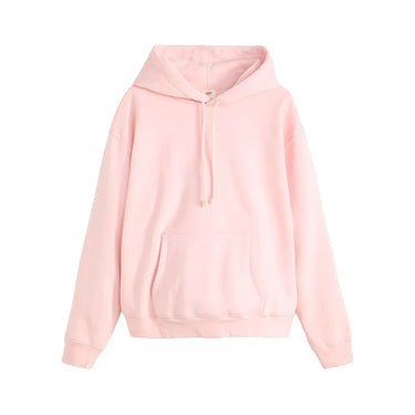 Levi's FELPE Everyday Hoodie