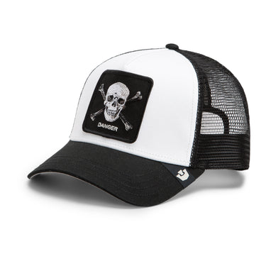 Danger Skull and Crossbones
