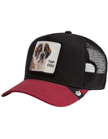THE TOP DOG