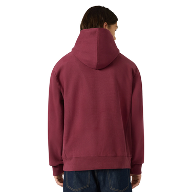 Champion Iconic Reverse Weave Fleece Hooded Sweatshirt – Felpa – foto 3