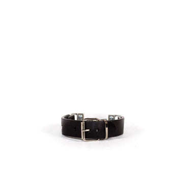 Hollywood Trading Company DICES BR