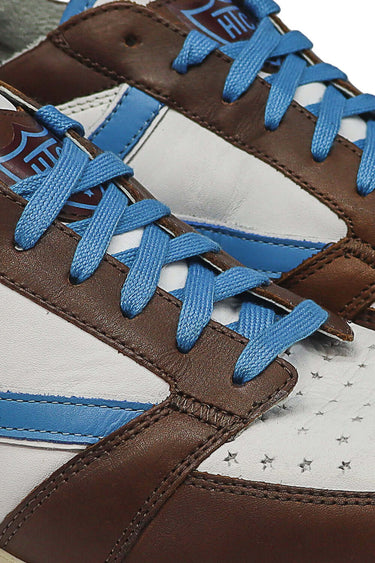 Hollywood Trading Company sneakers STARLIGHT COLOR SHIELD LOW MAN BROWN/BLUE