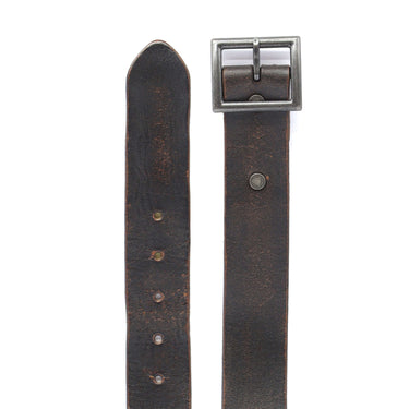 Hollywood Trading Company CALICO BELT BLACK | Blue Express