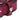 Hollywood Trading Company 3.000 studs color belt fuxia | Blue Express