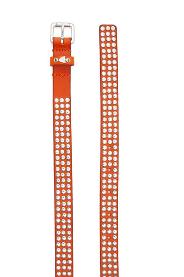 Hollywood Trading Company 3.000 STUDS COLOR BELT | Blue Express