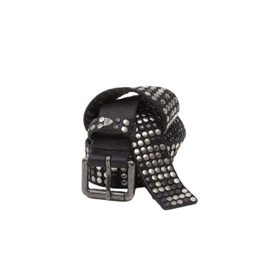 5.000 STUDS BELT BLACK Hollywood Trading Company Blue Express