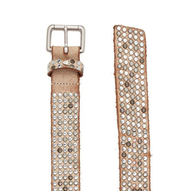 Hollywood Trading Company 5.000 STUDS BELT | Blue Express