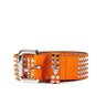 Hollywood Trading Company 5.000 STUDS COLOR BELT | Blue Express