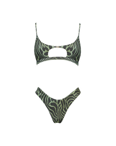 TAYLOR FANTASIA ZEBRATO VERDE