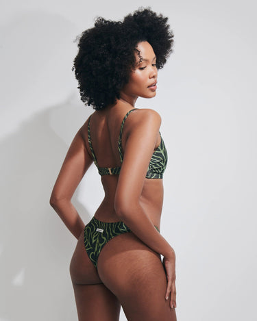 TAYLOR FANTASIA ZEBRATO VERDE