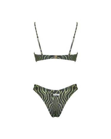 TAYLOR FANTASIA ZEBRATO VERDE