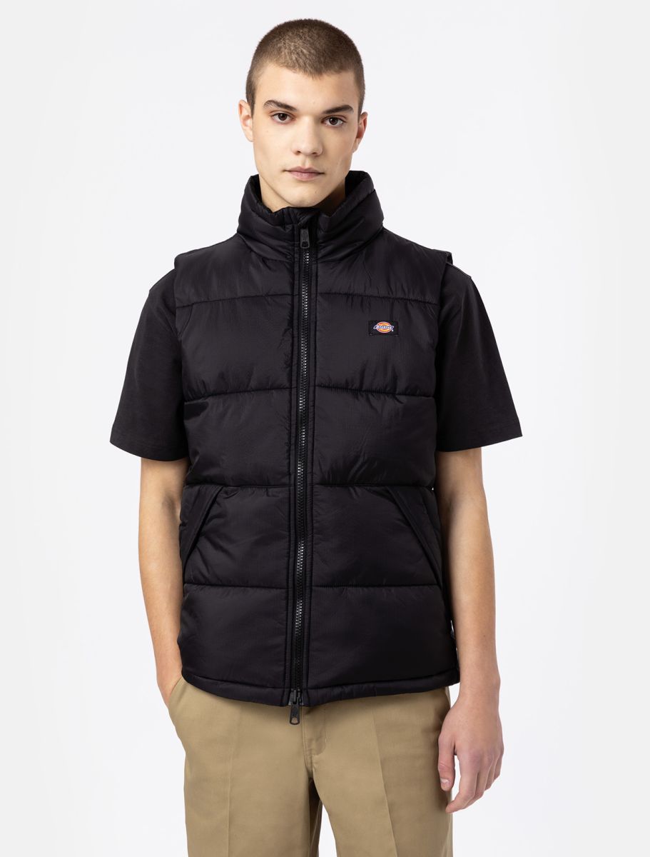 Dickies Gilet Waldenburg