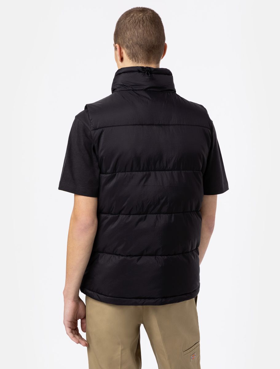 Dickies Gilet Waldenburg