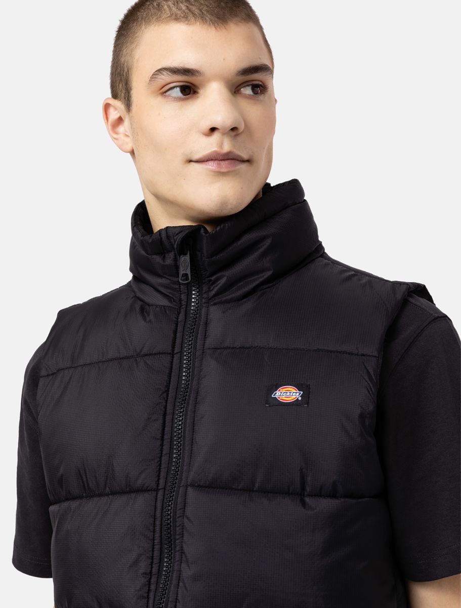 Dickies Gilet Waldenburg