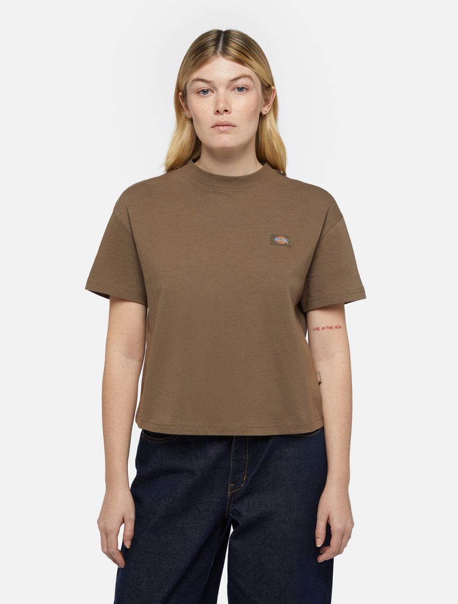 Dickies T-Shirt Oakport Brown