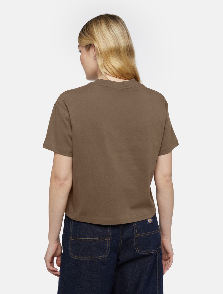 Dickies T-Shirt Oakport Brown