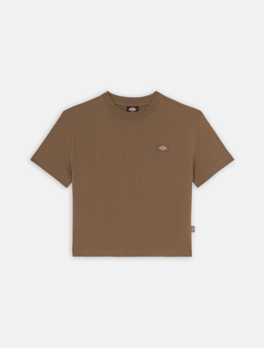 Dickies T-Shirt Oakport Brown