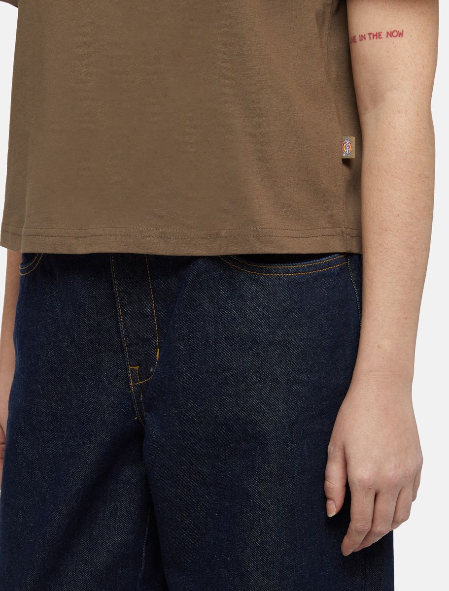 Dickies T-Shirt Oakport Brown