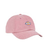 Dickies hardwick duck | Blue Express