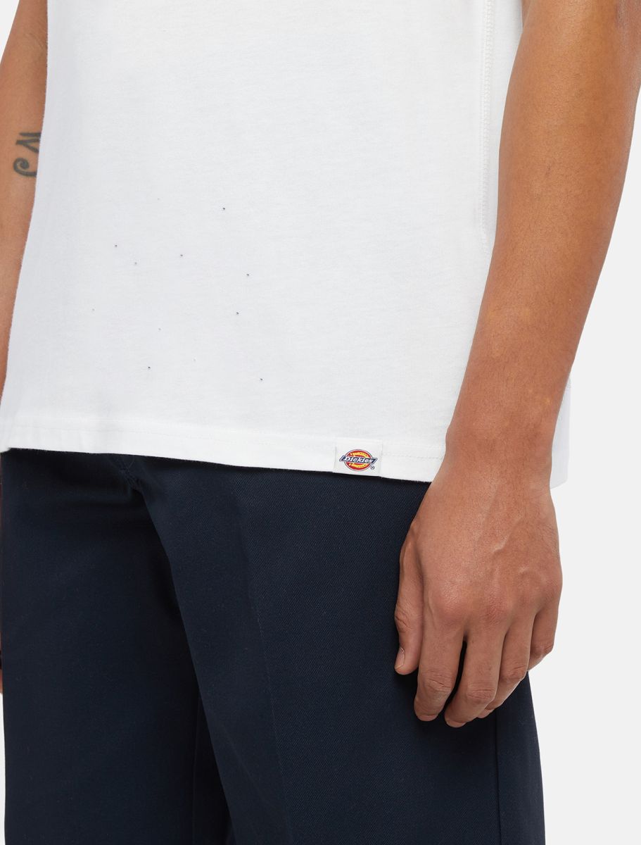 Dickies T-Shirt Globe