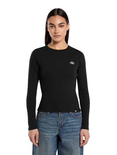 DICKIES Gladeville Mediumweight w ls T-Shirt black | Blue Express
