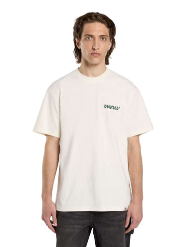 DICKIES Gordonsville Middleweight T-Shirt egret | Blue Express