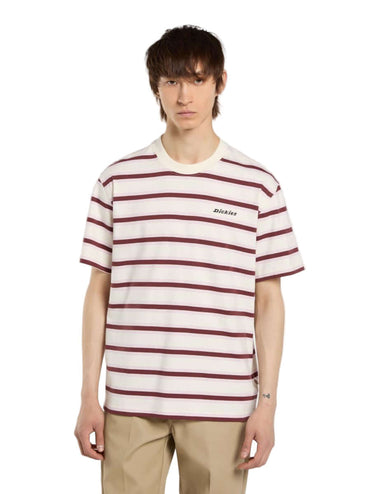 DICKIES York Striped Midweight T-Shirt egret | Blue Express