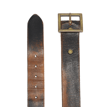 Hollywood Trading Company FERNWOOD BELT DARK BROWN | Blue Express