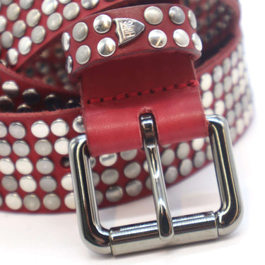 Hollywood Trading Company 5.000 COLOUR STUDS BELT BORDEAUX | Blue Express