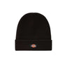 DICKIES Gibsland unisex cap black | Blue Express