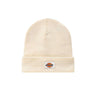 DICKIES Gibsland unisex cap ecru | Blue Express