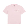 DICKIES Slayden Midweight Garment Dyed T-Shirt winsome orchid | Blue Express