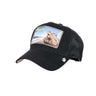 GOORIN BROS Baseball homestead Morning wood dar | Blue Express