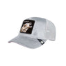 GOORIN BROS Baseball velour Wolf glo | Blue Express